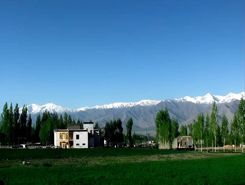 Merak Pangong